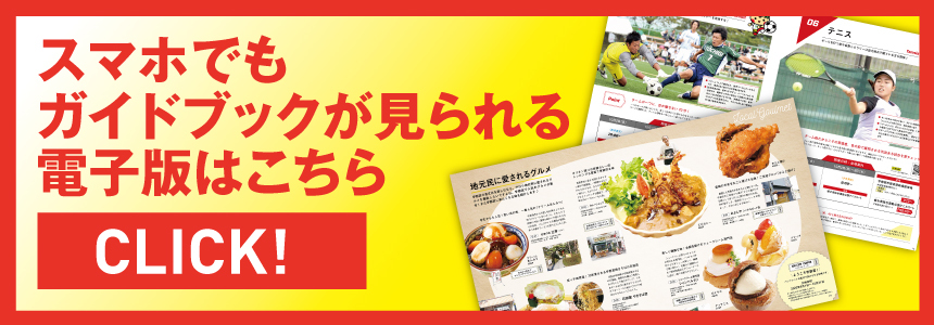 スマホでもガイドブックが見られる電子版はこちらをクリック